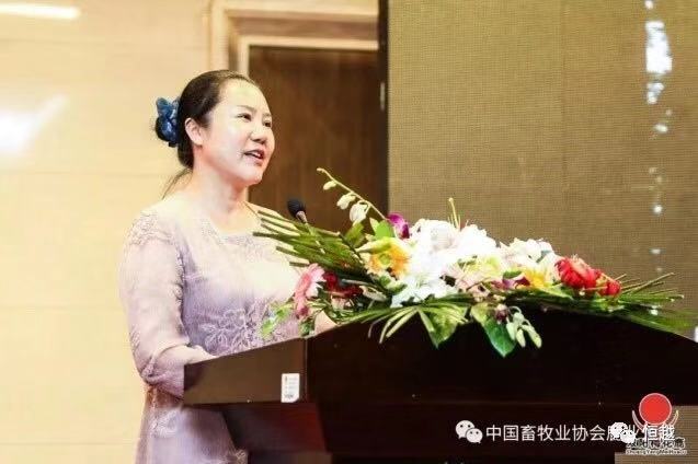黄瓜视频